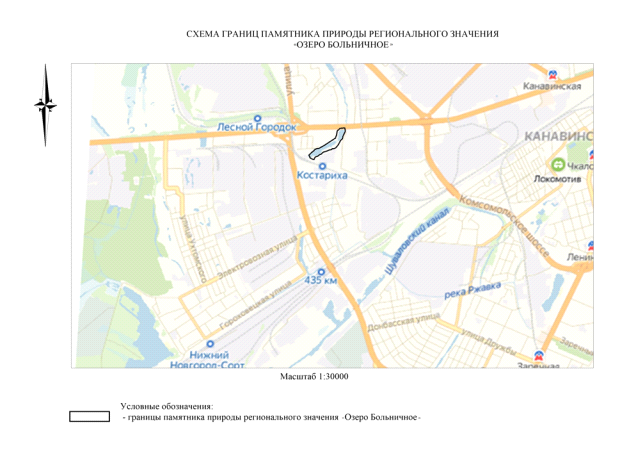 Постановление Правительства Нижегородской области от 19.08.2020 № 707 "О памятнике природы регионального значения "Озеро Больничное"