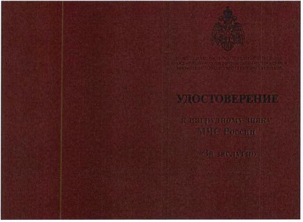 Приказ Министерства Российской Федерации по делам гражданской обороны, чрезвычайным ситуациям и ликвидации последствий стихийных бедствий от 20.06.2023 № 640 "О ведомственных знаках отличия Министерства Российской Федерации по делам гражданской обороны, чрезвычайным ситуациям и ликвидации последствий стихийных бедствий"