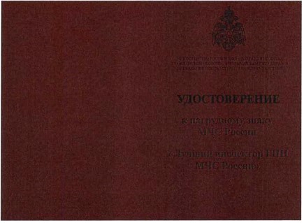 Приказ Министерства Российской Федерации по делам гражданской обороны, чрезвычайным ситуациям и ликвидации последствий стихийных бедствий от 20.06.2023 № 640 "О ведомственных знаках отличия Министерства Российской Федерации по делам гражданской обороны, чрезвычайным ситуациям и ликвидации последствий стихийных бедствий"