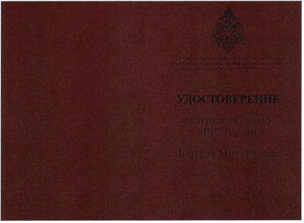 Приказ Министерства Российской Федерации по делам гражданской обороны, чрезвычайным ситуациям и ликвидации последствий стихийных бедствий от 20.06.2023 № 640 "О ведомственных знаках отличия Министерства Российской Федерации по делам гражданской обороны, чрезвычайным ситуациям и ликвидации последствий стихийных бедствий"
