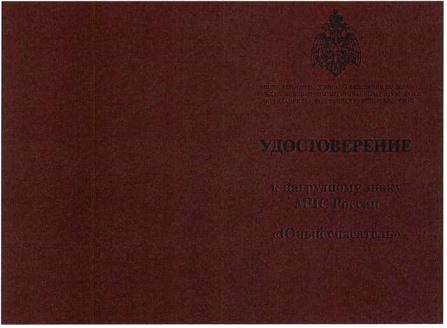 Приказ Министерства Российской Федерации по делам гражданской обороны, чрезвычайным ситуациям и ликвидации последствий стихийных бедствий от 20.06.2023 № 640 "О ведомственных знаках отличия Министерства Российской Федерации по делам гражданской обороны, чрезвычайным ситуациям и ликвидации последствий стихийных бедствий"