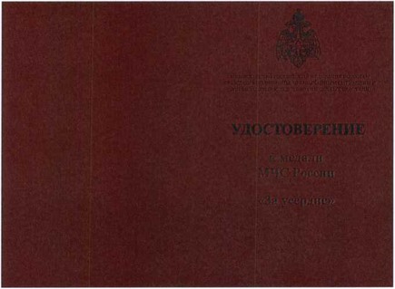 Приказ Министерства Российской Федерации по делам гражданской обороны, чрезвычайным ситуациям и ликвидации последствий стихийных бедствий от 20.06.2023 № 640 "О ведомственных знаках отличия Министерства Российской Федерации по делам гражданской обороны, чрезвычайным ситуациям и ликвидации последствий стихийных бедствий"