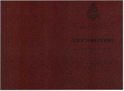 Приказ Министерства Российской Федерации по делам гражданской обороны, чрезвычайным ситуациям и ликвидации последствий стихийных бедствий от 20.06.2023 № 640 "О ведомственных знаках отличия Министерства Российской Федерации по делам гражданской обороны, чрезвычайным ситуациям и ликвидации последствий стихийных бедствий"