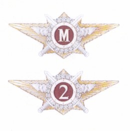 Приказ Федеральной службы войск национальной гвардии Российской Федерации от 20.10.2025 № 374 "Об утверждении Порядка присвоения- подтверждения квалификационного звания, снижения в квалификационном звании, лишения квалификационного звания и ведения учета лиц, проходящих службу в войсках национальной гвардии Российской Федерации и имеющих специальные звания полиции, имеющих квалификационные звания"