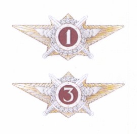 Приказ Федеральной службы войск национальной гвардии Российской Федерации от 20.10.2025 № 374 "Об утверждении Порядка присвоения- подтверждения квалификационного звания, снижения в квалификационном звании, лишения квалификационного звания и ведения учета лиц, проходящих службу в войсках национальной гвардии Российской Федерации и имеющих специальные звания полиции, имеющих квалификационные звания"