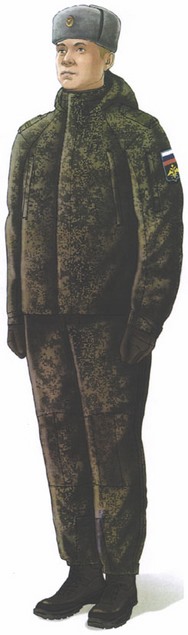 Приказ Министра обороны Российской Федерации от 22.11.2025 № 733 "О внесении изменений в Правила ношения военной формы одежды, знаков различия военнослужащих, ведомственных знаков отличия и иных геральдических знаков в Вооруженных Силах Российской Федерации, утвержденные приказом Министра обороны Российской Федерации от 9 октября 2020 г. № 525". Рис. 24