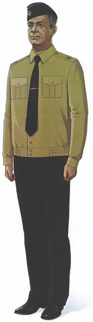 Приказ Министра обороны Российской Федерации от 22.11.2025 № 733 "О внесении изменений в Правила ношения военной формы одежды, знаков различия военнослужащих, ведомственных знаков отличия и иных геральдических знаков в Вооруженных Силах Российской Федерации, утвержденные приказом Министра обороны Российской Федерации от 9 октября 2020 г. № 525". Рис. 25