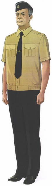 Приказ Министра обороны Российской Федерации от 22.11.2025 № 733 "О внесении изменений в Правила ношения военной формы одежды, знаков различия военнослужащих, ведомственных знаков отличия и иных геральдических знаков в Вооруженных Силах Российской Федерации, утвержденные приказом Министра обороны Российской Федерации от 9 октября 2020 г. № 525". Рис. 26