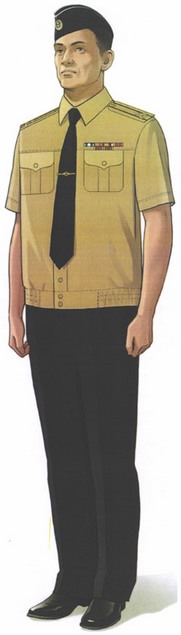 Приказ Министра обороны Российской Федерации от 22.11.2025 № 733 "О внесении изменений в Правила ношения военной формы одежды, знаков различия военнослужащих, ведомственных знаков отличия и иных геральдических знаков в Вооруженных Силах Российской Федерации, утвержденные приказом Министра обороны Российской Федерации от 9 октября 2020 г. № 525". Рис. 29