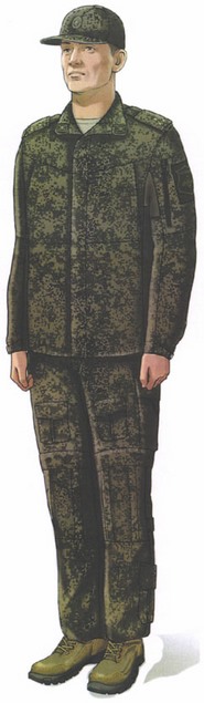 Приказ Министра обороны Российской Федерации от 22.11.2025 № 733 "О внесении изменений в Правила ношения военной формы одежды, знаков различия военнослужащих, ведомственных знаков отличия и иных геральдических знаков в Вооруженных Силах Российской Федерации, утвержденные приказом Министра обороны Российской Федерации от 9 октября 2020 г. № 525". Рис. 36