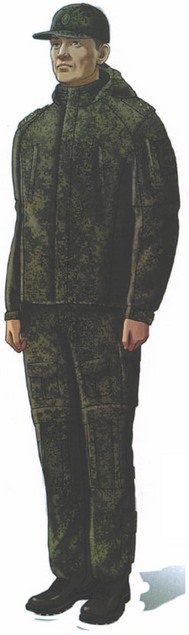 Приказ Министра обороны Российской Федерации от 22.11.2025 № 733 "О внесении изменений в Правила ношения военной формы одежды, знаков различия военнослужащих, ведомственных знаков отличия и иных геральдических знаков в Вооруженных Силах Российской Федерации, утвержденные приказом Министра обороны Российской Федерации от 9 октября 2020 г. № 525". Рис. 37