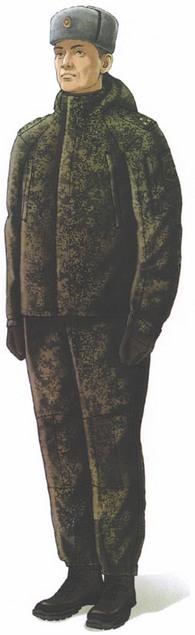 Приказ Министра обороны Российской Федерации от 22.11.2025 № 733 "О внесении изменений в Правила ношения военной формы одежды, знаков различия военнослужащих, ведомственных знаков отличия и иных геральдических знаков в Вооруженных Силах Российской Федерации, утвержденные приказом Министра обороны Российской Федерации от 9 октября 2020 г. № 525". Рис. 39