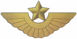 Приказ Министра обороны Российской Федерации от 22.11.2025 № 733 "О внесении изменений в Правила ношения военной формы одежды, знаков различия военнослужащих, ведомственных знаков отличия и иных геральдических знаков в Вооруженных Силах Российской Федерации, утвержденные приказом Министра обороны Российской Федерации от 9 октября 2020 г. № 525". Рис. 41