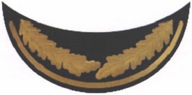 Приказ Министра обороны Российской Федерации от 22.11.2025 № 733 "О внесении изменений в Правила ношения военной формы одежды, знаков различия военнослужащих, ведомственных знаков отличия и иных геральдических знаков в Вооруженных Силах Российской Федерации, утвержденные приказом Министра обороны Российской Федерации от 9 октября 2020 г. № 525". Рис. 45