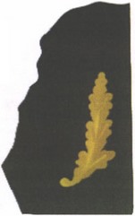 Приказ Министра обороны Российской Федерации от 22.11.2025 № 733 "О внесении изменений в Правила ношения военной формы одежды, знаков различия военнослужащих, ведомственных знаков отличия и иных геральдических знаков в Вооруженных Силах Российской Федерации, утвержденные приказом Министра обороны Российской Федерации от 9 октября 2020 г. № 525". Рис. 47