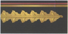 Приказ Министра обороны Российской Федерации от 22.11.2025 № 733 "О внесении изменений в Правила ношения военной формы одежды, знаков различия военнослужащих, ведомственных знаков отличия и иных геральдических знаков в Вооруженных Силах Российской Федерации, утвержденные приказом Министра обороны Российской Федерации от 9 октября 2020 г. № 525". Рис. 48