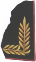 Приказ Министра обороны Российской Федерации от 22.11.2025 № 733 "О внесении изменений в Правила ношения военной формы одежды, знаков различия военнослужащих, ведомственных знаков отличия и иных геральдических знаков в Вооруженных Силах Российской Федерации, утвержденные приказом Министра обороны Российской Федерации от 9 октября 2020 г. № 525". Рис. 58