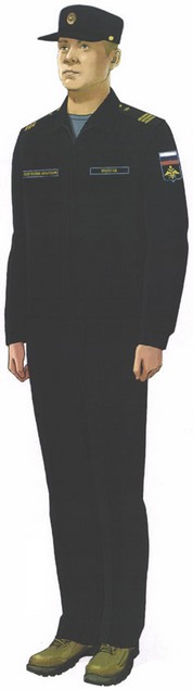 Приказ Министра обороны Российской Федерации от 22.11.2025 № 733 "О внесении изменений в Правила ношения военной формы одежды, знаков различия военнослужащих, ведомственных знаков отличия и иных геральдических знаков в Вооруженных Силах Российской Федерации, утвержденные приказом Министра обороны Российской Федерации от 9 октября 2020 г. № 525". Рис. 6