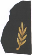 Приказ Министра обороны Российской Федерации от 22.11.2025 № 733 "О внесении изменений в Правила ношения военной формы одежды, знаков различия военнослужащих, ведомственных знаков отличия и иных геральдических знаков в Вооруженных Силах Российской Федерации, утвержденные приказом Министра обороны Российской Федерации от 9 октября 2020 г. № 525". Рис. 60