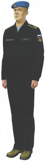 Приказ Министра обороны Российской Федерации от 22.11.2025 № 733 "О внесении изменений в Правила ношения военной формы одежды, знаков различия военнослужащих, ведомственных знаков отличия и иных геральдических знаков в Вооруженных Силах Российской Федерации, утвержденные приказом Министра обороны Российской Федерации от 9 октября 2020 г. № 525". Рис. 8