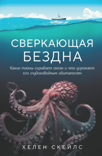 Реклама. ООО ЛИТРЕС