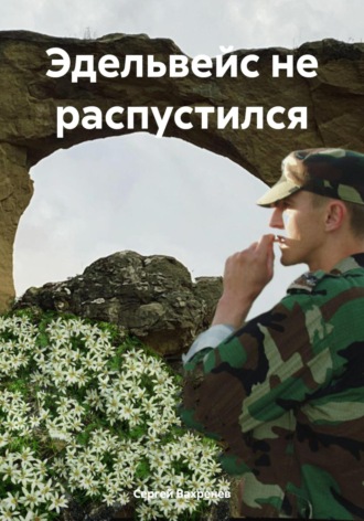 Реклама. ООО ЛИТРЕС