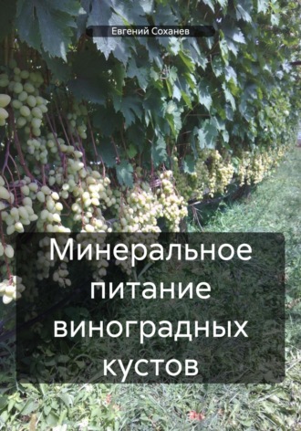 Реклама. ООО ЛИТРЕС